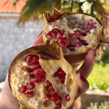 Appartamento Zorka Trebinje